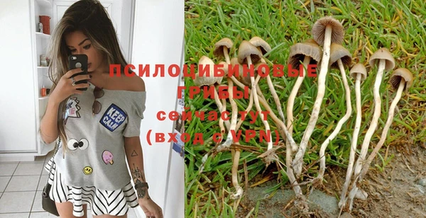 дмт Карпинск