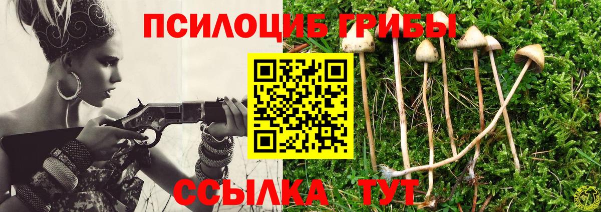 Псилоцибиновые грибы Psilocybine cubensis Уссурийск