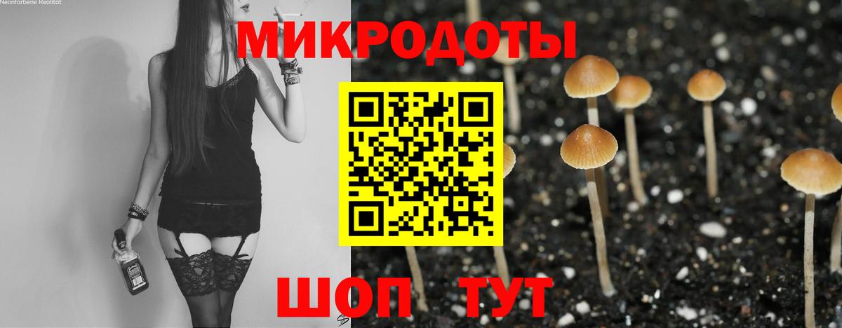 Галлюциногенные грибы MAGIC MUSHROOMS  Галлюциногенные грибы Psilocybe  Уссурийск 