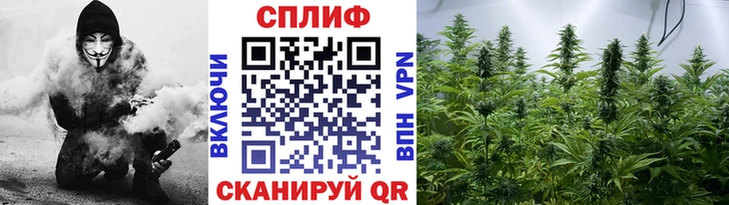 МАРИХУАНА THC 21%  где найти наркотики  Уссурийск 